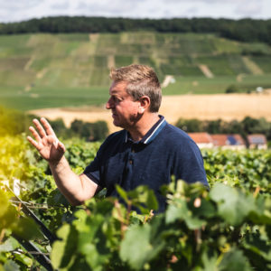 Immergez-vous au coeur de la biodynamie : Expérience authentique garantie